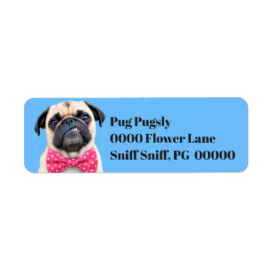 Étiquette Bouledogue portant un nœud rose