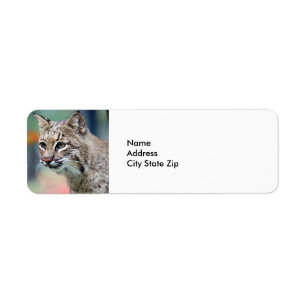 Étiquette Brown de la faune Bobcat Lynx