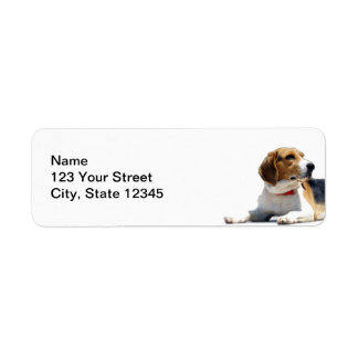 Étiquette Brown noir et blanc Beagle chien Adresse de retour
