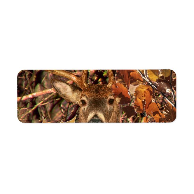 Étiquette Buck in Camouflage White Tail Deer (Devant)