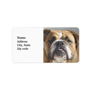 Étiquette Bulldog Face - Bulldog anglais, Brown
