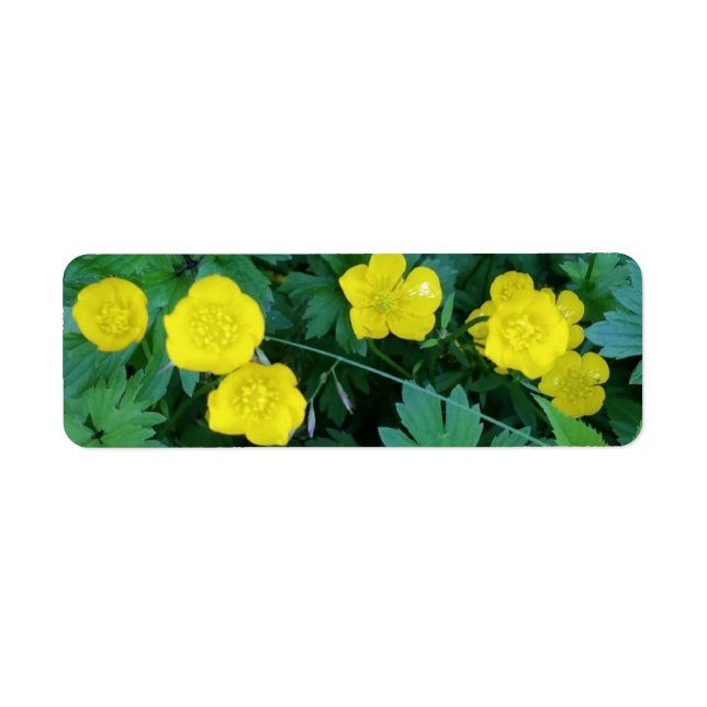 Étiquette Buttercup Themed Labels (Devant)