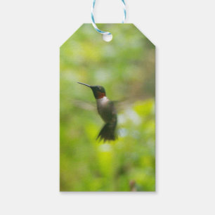 Étiquette cadeau de colibri
