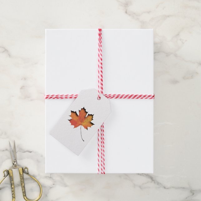 Étiquette cadeau de l'étiquette produit Feuille d' (Avec de la ficelle)