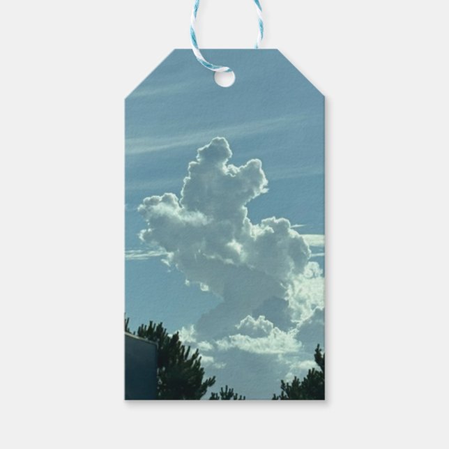 Étiquette cadeau de marionnettes de nuage (Devant)
