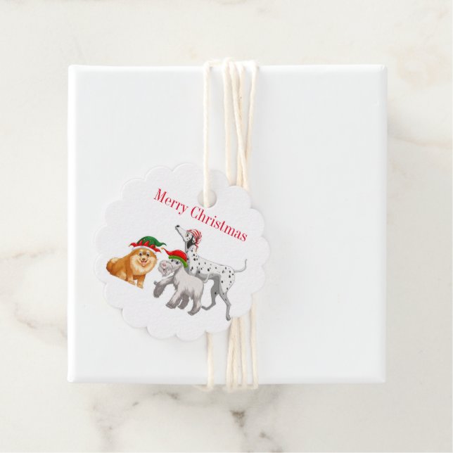 Étiquette cadeau de Noël (En situation)