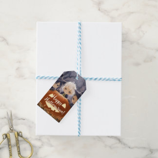 Étiquette cadeau et boîtier cadeau