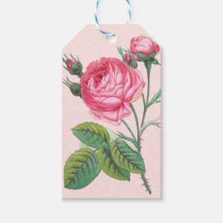 Étiquette cadeau fleur de rose rose