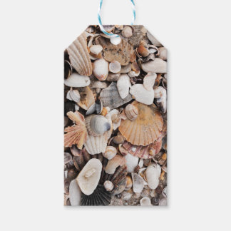étiquette cadeau Sea shells