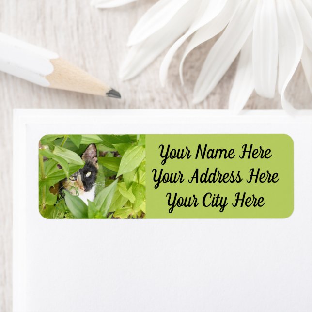 Étiquette Calico Cat dans les Zinnias (En situation)