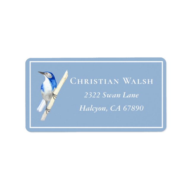 Étiquette California Scrub Jay (Devant)