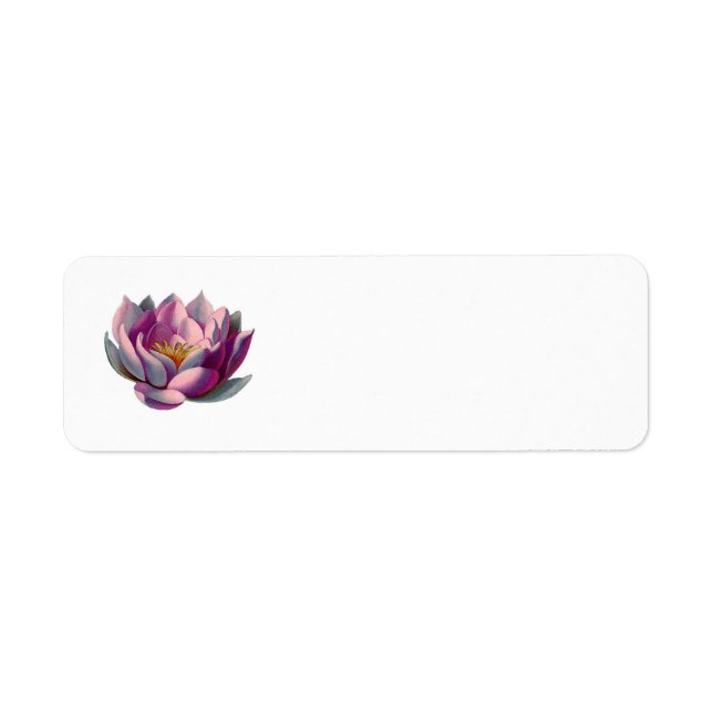Étiquette Calme l Belle Lotus Rose Fleur/Lys d'eau (Devant)