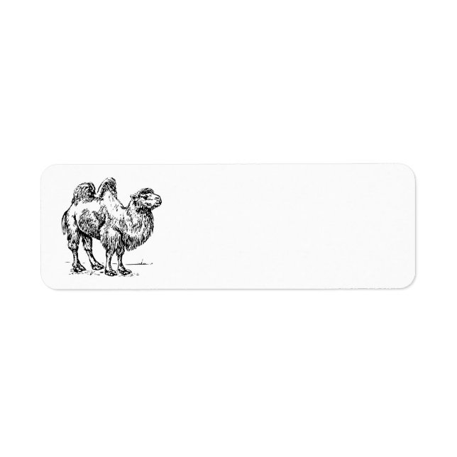 Étiquette Camel 1 (Devant)