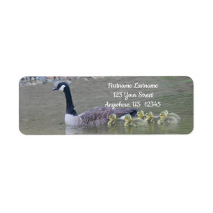 Étiquette Canada Goose Babies With Mom Adresse animale
