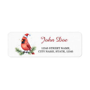 Étiquette Cardinal Rouge sur Branche de Pin Noël Retour