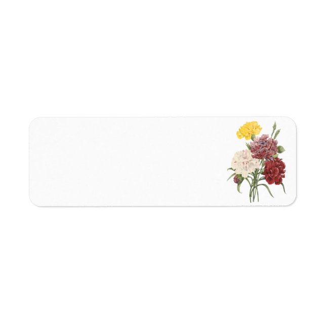 Étiquette carnation(Dianthus sp.) par Redouté (Devant)