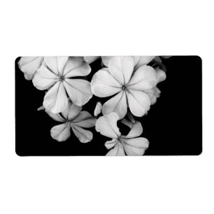 Étiquette carte postale en noir et blanc