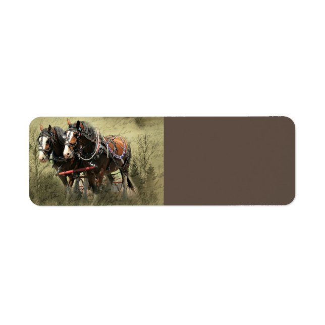 Étiquette Carte postale Patiné vintage Clydesdale (Devant)