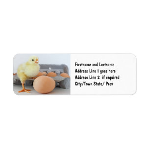 Étiquette Carton de poussin et d'oeufs avec l'oeuf Brown