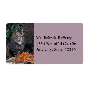 Étiquette Cat With a Grateful Heart Shipping Labels