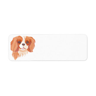 Étiquette Cavalier King Charles Spaniel