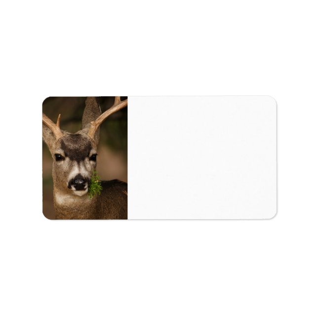 Étiquette cerf (Devant)