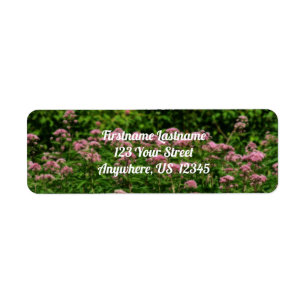 Étiquette Champ De Sweet Joe Pye Weed Flowers Orton Adresse