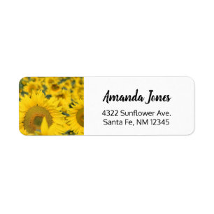 Étiquette Champ jaune de tournesols photo