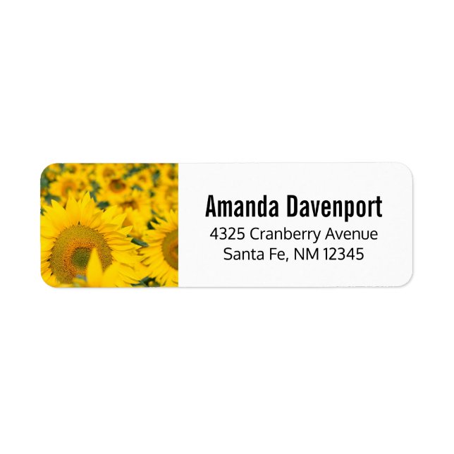 Étiquette Champ jaune de tournesols photo (Devant)