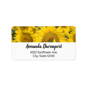 Étiquette Champ jaune de tournesols photo