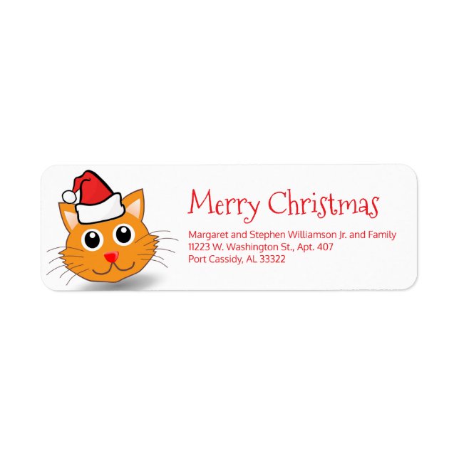 Étiquette Chat amusant portant le chapeau du Père Noël Migno (Devant)
