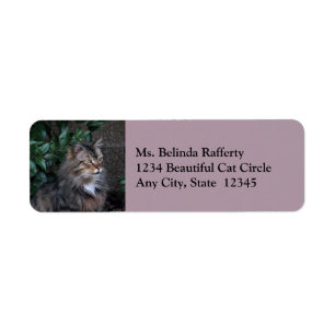 Étiquette Chat avec un coeur gracieux Retour Adresse Étique