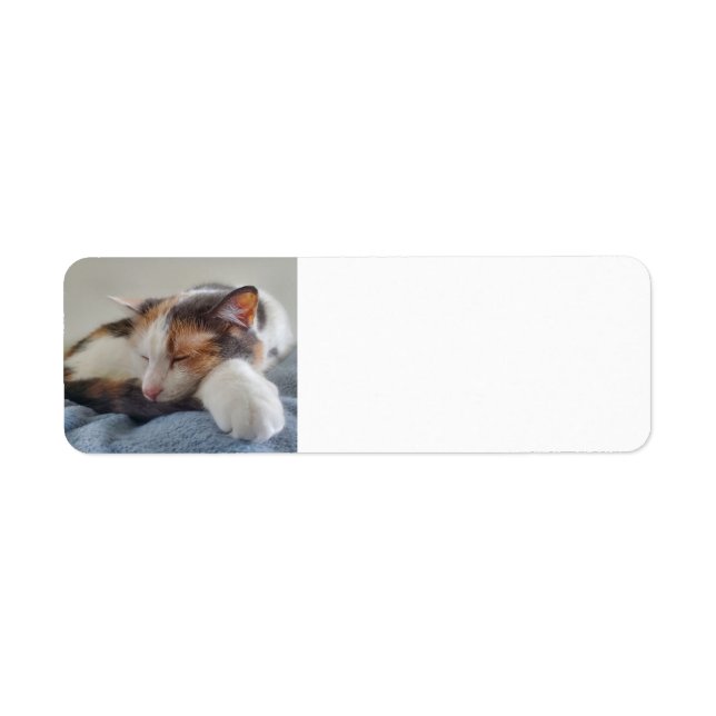 Étiquette Chat Calico endormi (Devant)