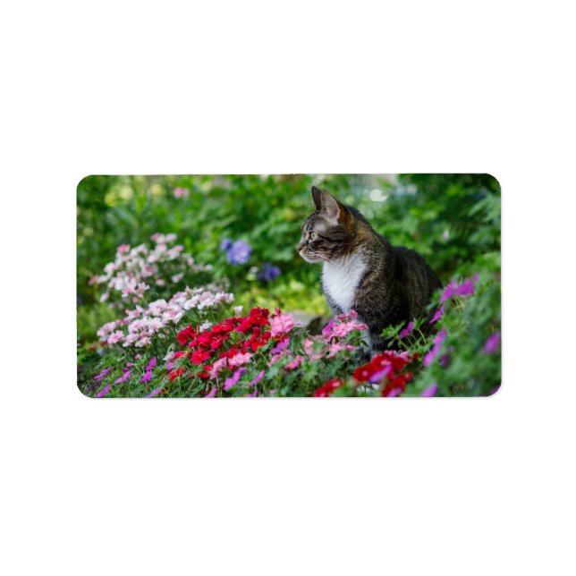 Étiquette Chat dans le jardin (Devant)