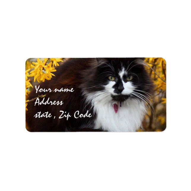 Étiquette Chat d'automne (Devant)