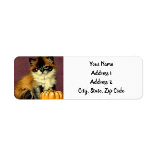 Étiquette Chat d'Halloween Ragdoll vintage