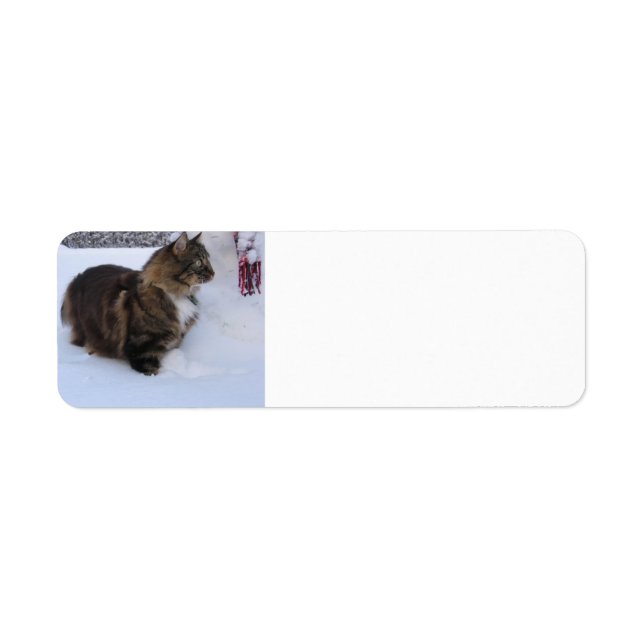 Étiquette chat forestier norvégien dans la neige (Devant)