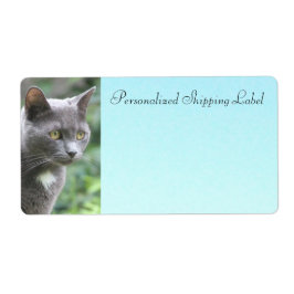 Étiquette Chat Kitty En Gris