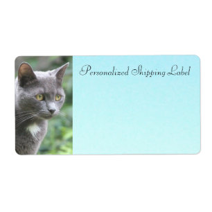 Étiquette Chat Kitty En Gris