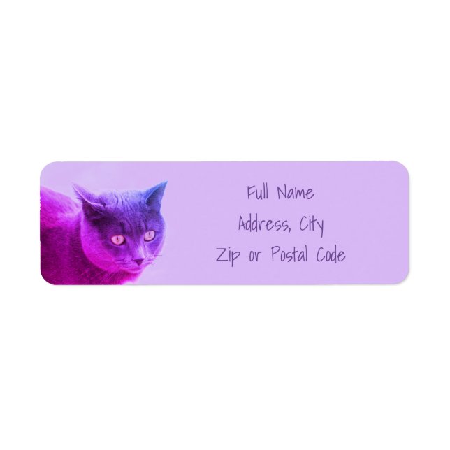 Étiquette Chat Kitty Violet (Devant)