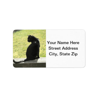Étiquette Chat noir