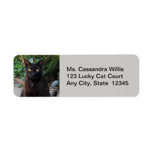 Étiquette Chat noir en attente patiente d'étiquettes d'adres