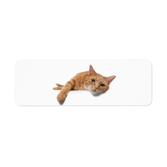 Étiquette Chat Orange Posé En Bas (Devant)