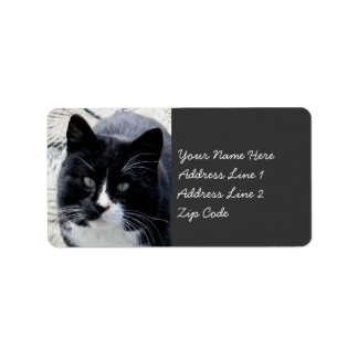 Étiquette Chat Tom noir avec marques blanches