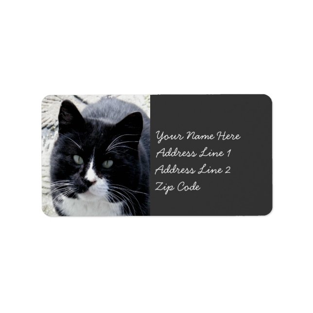 Étiquette Chat Tom noir avec marques blanches (Devant)