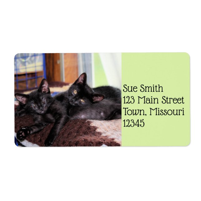 Étiquette Chatons (Devant)