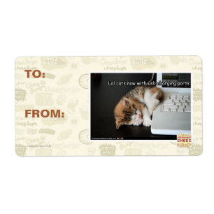 Étiquette Chats Lol avec USB