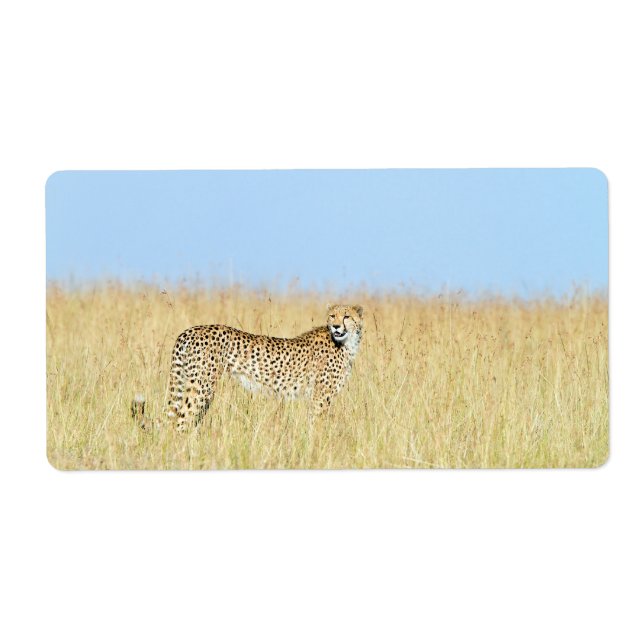 Étiquette Cheetah (Devant)