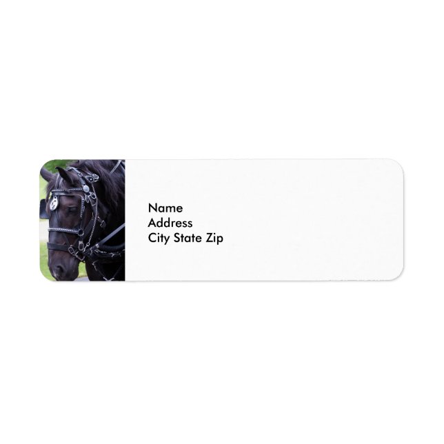 Étiquette Cheval noir 384 (Devant)
