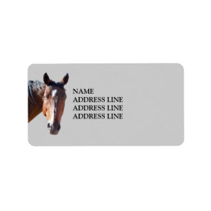 Étiquette Cheval quart américain - adresse de retour